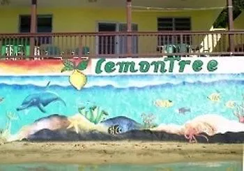 Szálloda Lemontree Oceanfront Cottages Rincon