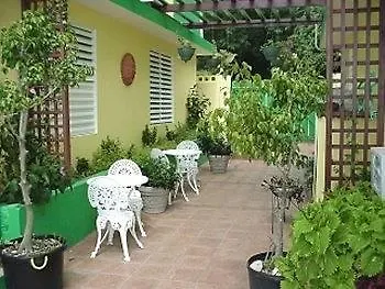 Szálloda Lemontree Oceanfront Cottages Rincon