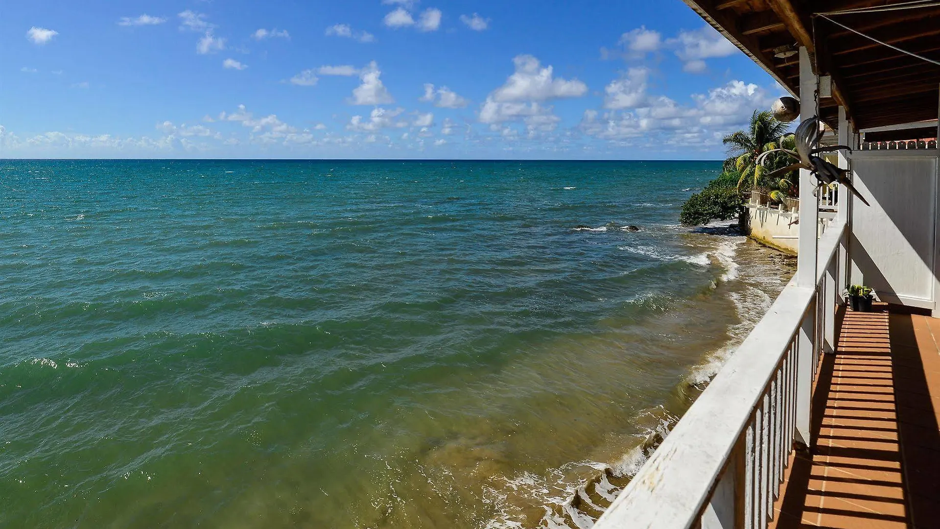 Lemontree Oceanfront Cottages Rincon Puerto Rico