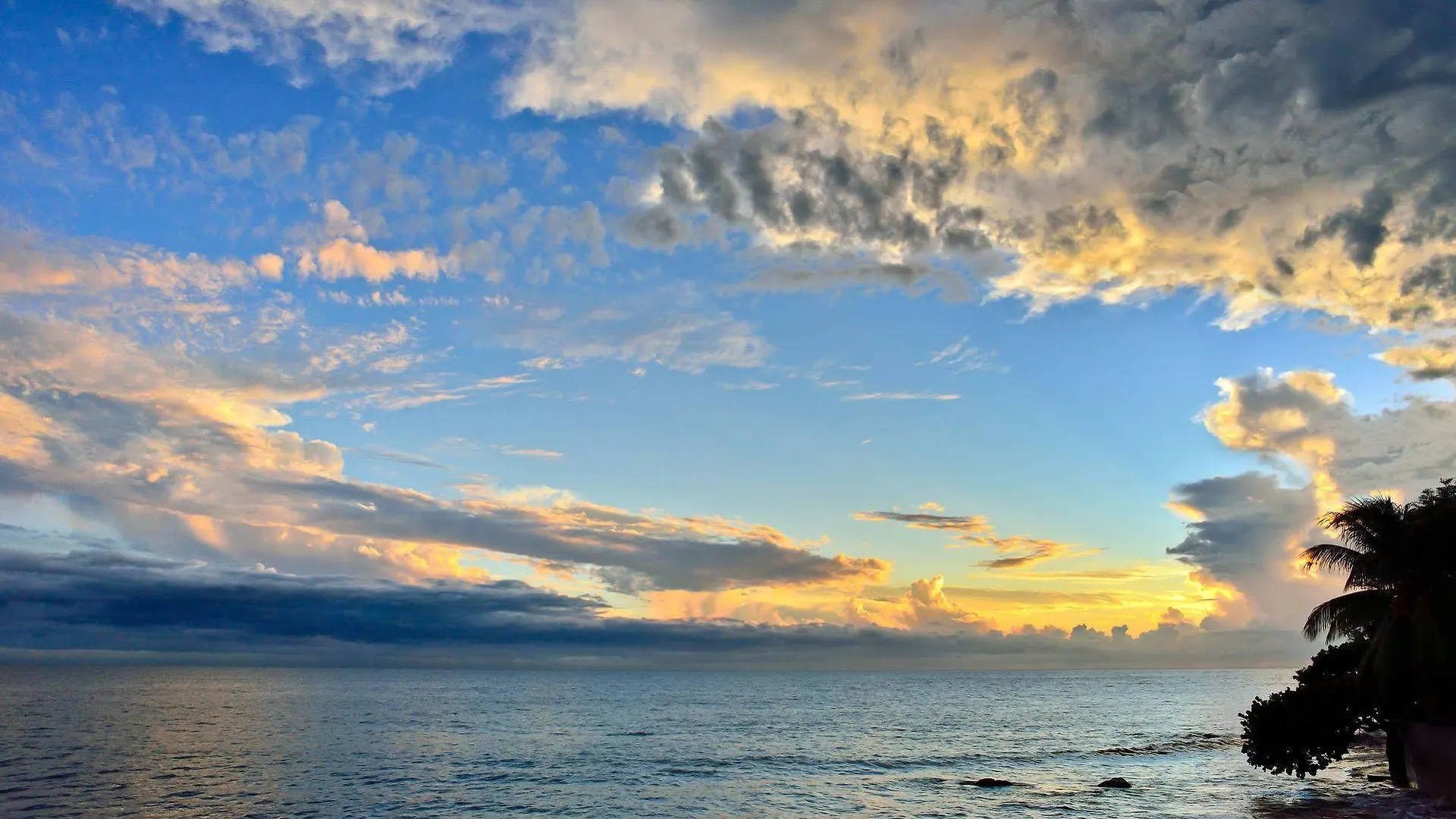 Lemontree Oceanfront Cottages Rincon