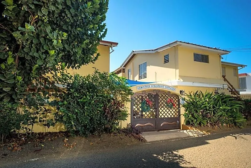 Szálloda Lemontree Oceanfront Cottages Rincon