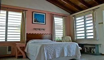 Lemontree Oceanfront Cottages 린콘 푸에르토리코