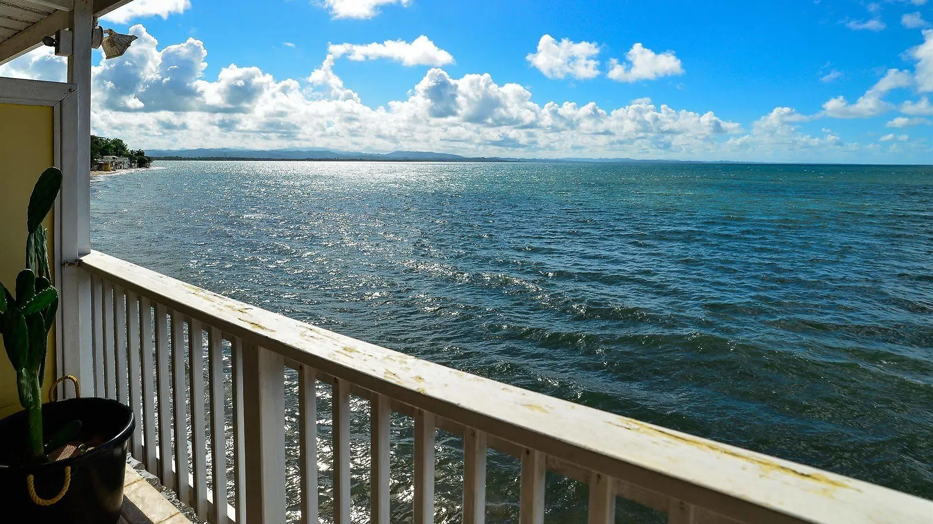 ** 호텔 Lemontree Oceanfront Cottages 린콘 푸에르토리코