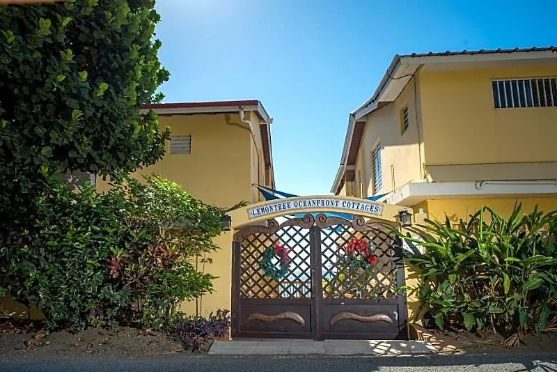 Lemontree Oceanfront Cottages 린콘 호텔